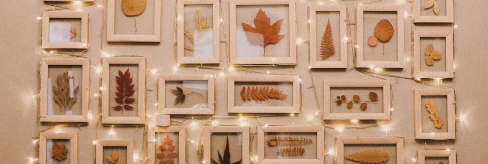 autumn tinkering