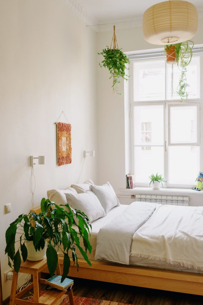 A bedroom with houseplants and direct sunlight