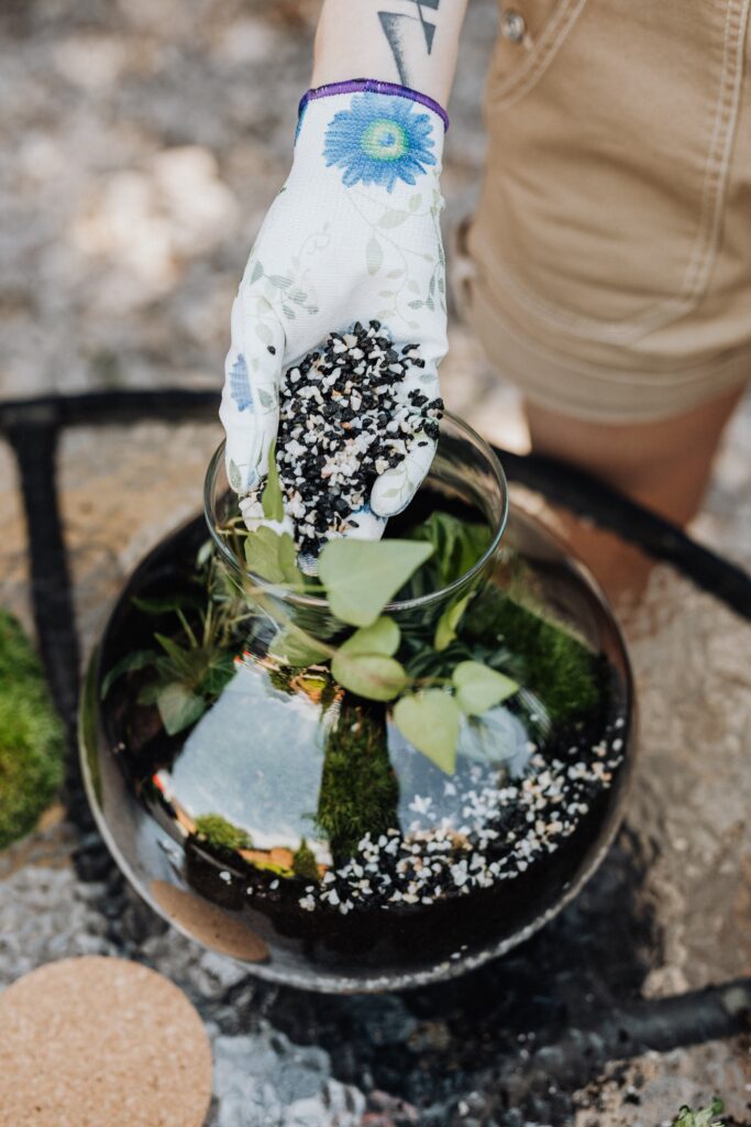 An image of a DIY ecosystem in a bowl with plants and sand