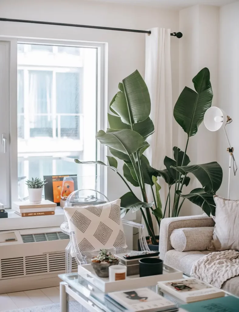 planten om je huis te decoreren