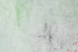 olieverfschilderij verandering der tijden