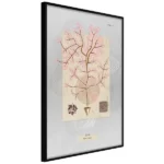 poster-mysterious-tree-1