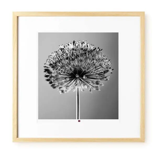 a photo frame with a black and white image of a flower in beige frame