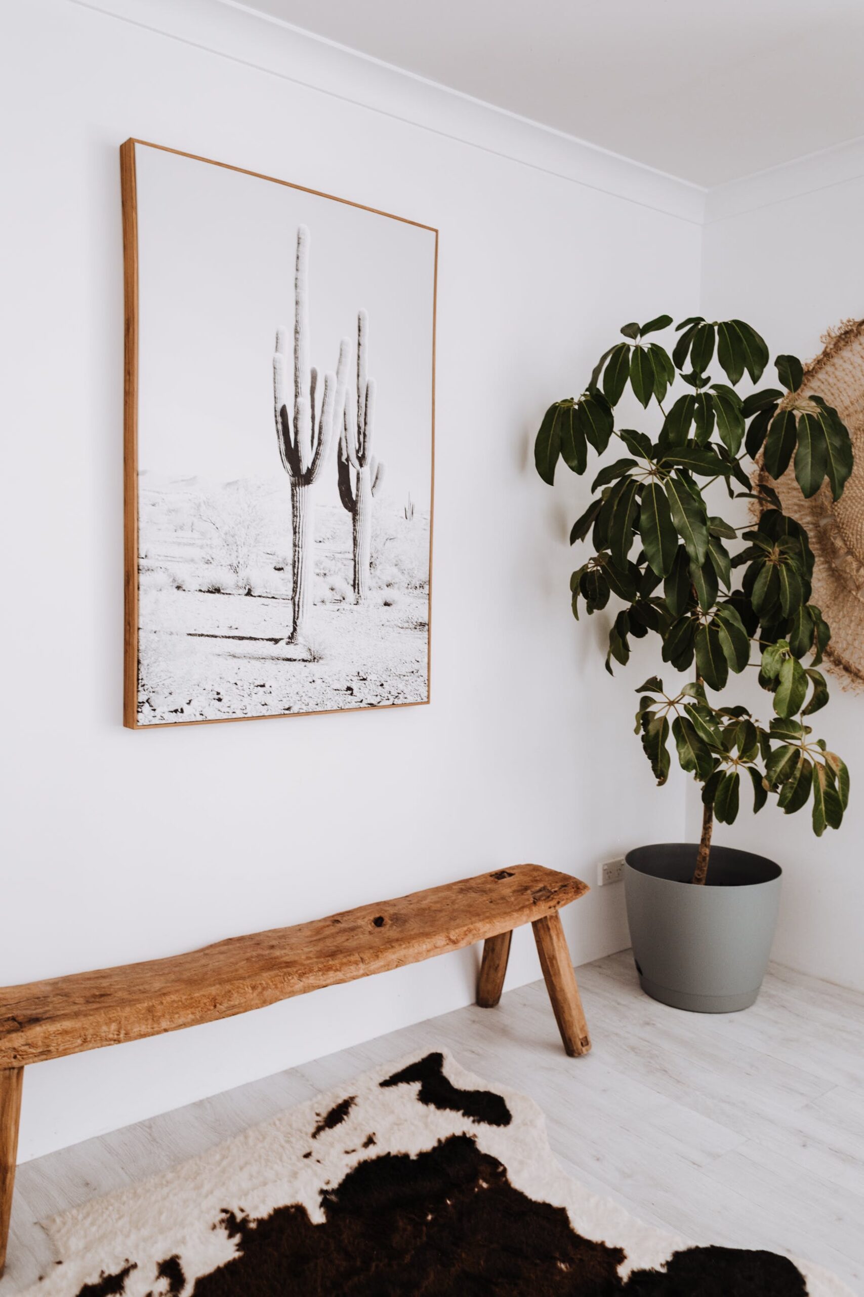 An image of an indoor plant with a wooden bench and a wooden frame wall art