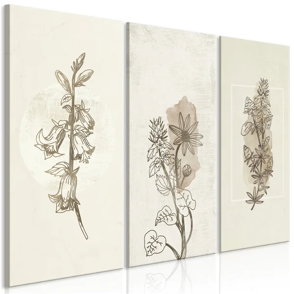 Kunstdruk op canvas 'Herbarium (3-delig)' afbeelding